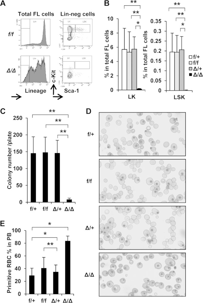 FIG 3