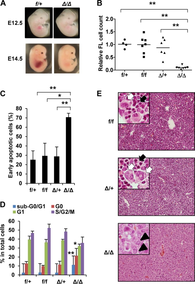 FIG 2