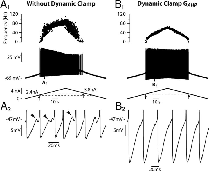 Figure 6.