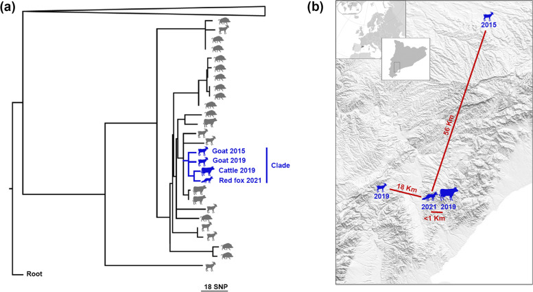 Fig. 2