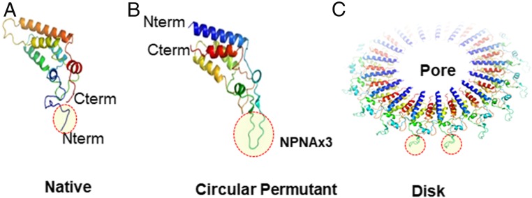 Fig. 1.