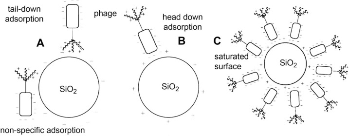 Fig. 11