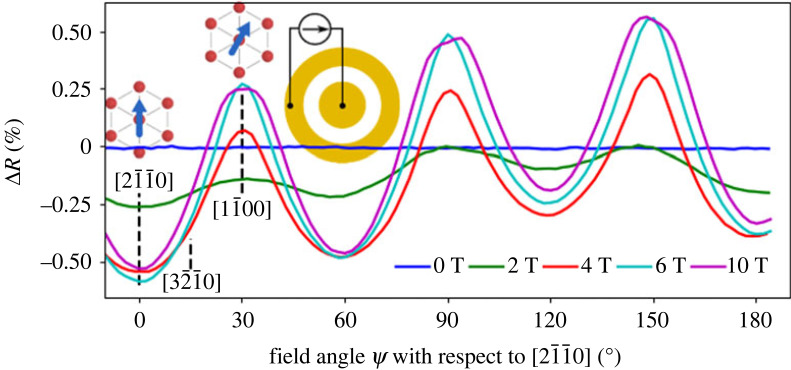 Figure 9. 