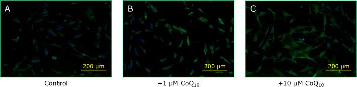 Fig. 6.