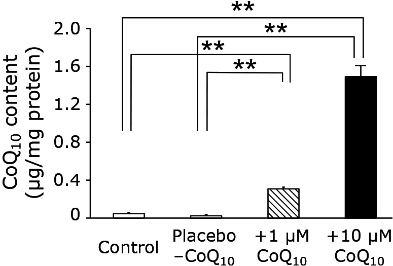 Fig. 1.