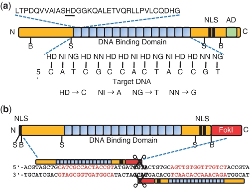 Figure 1.