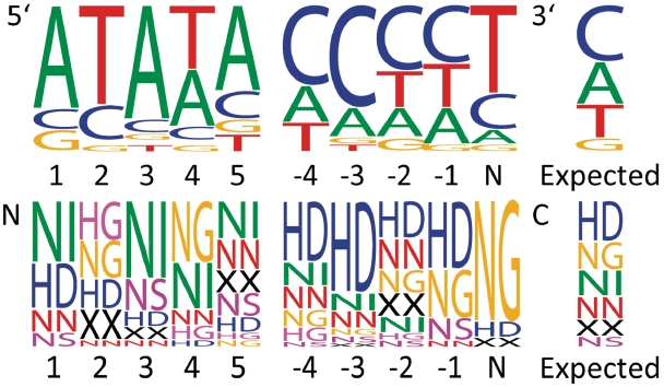 Figure 4.