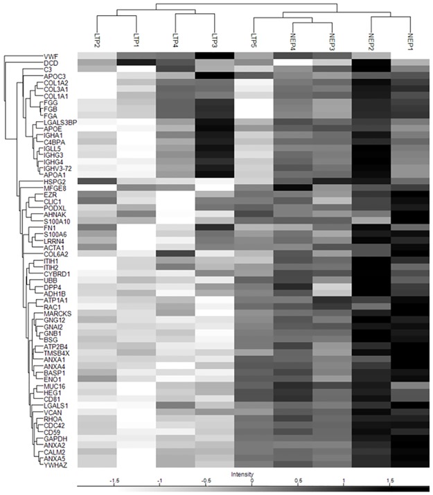 Fig 5