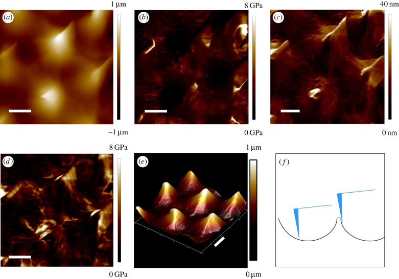 Figure 5.