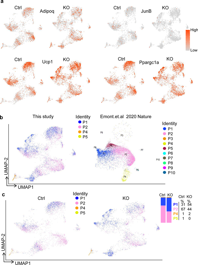 Extended Data Fig. 8 |