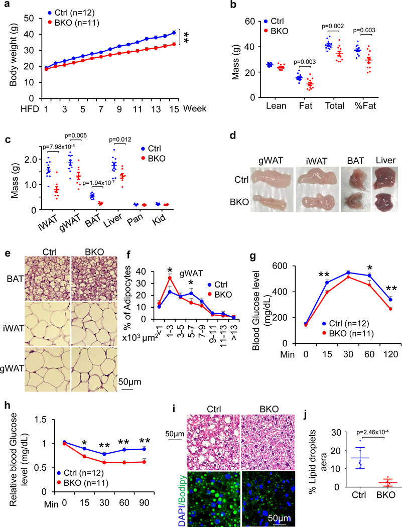 Fig. 4 |