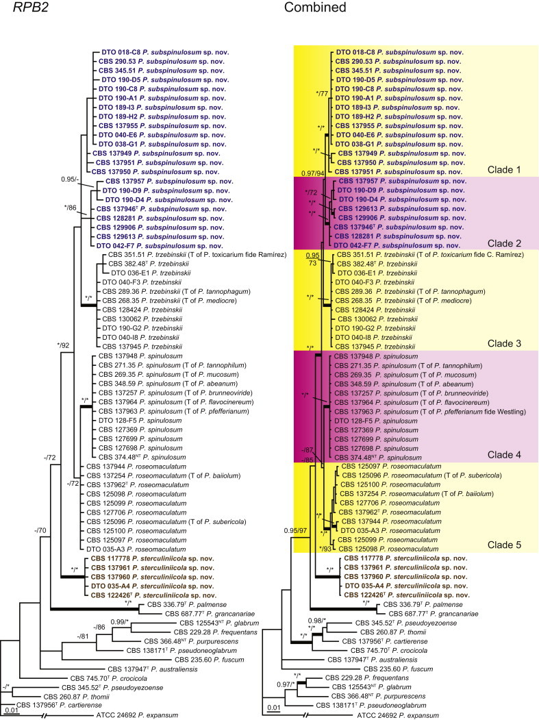 Fig. 3