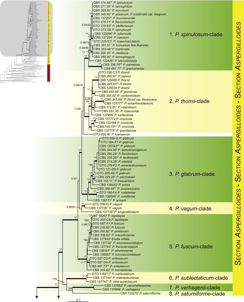 Fig. 1