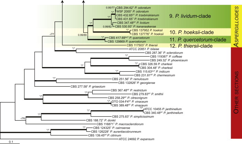 Fig. 1