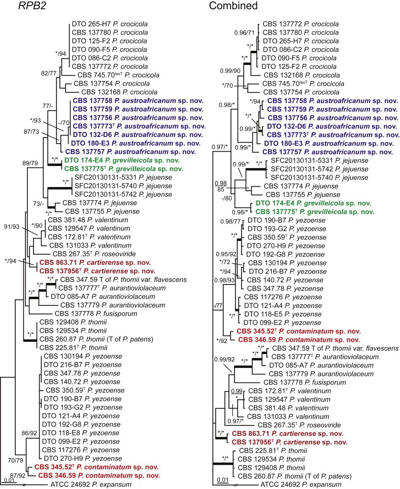 Fig. 6