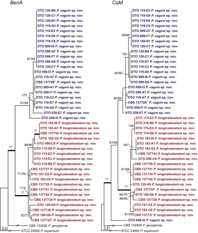 Fig. 10