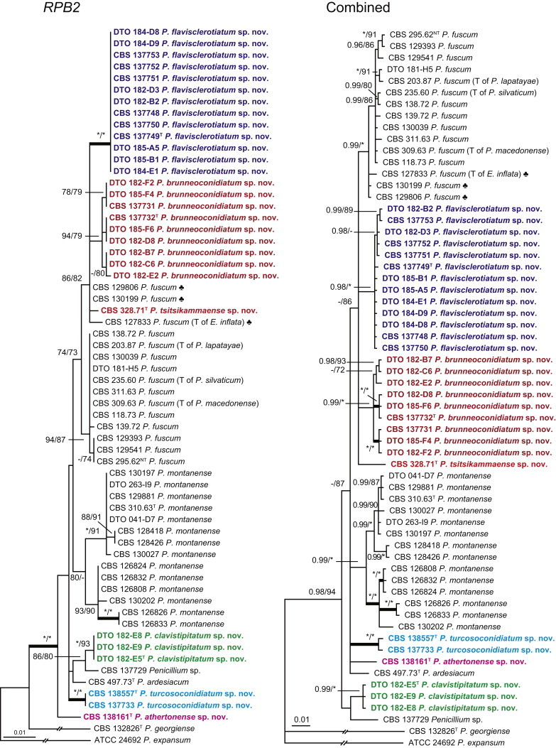 Fig. 13