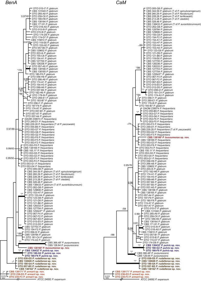 Fig. 7