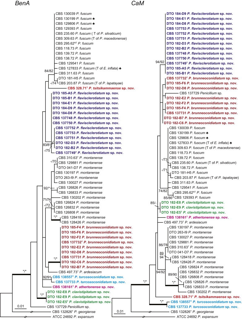 Fig. 12