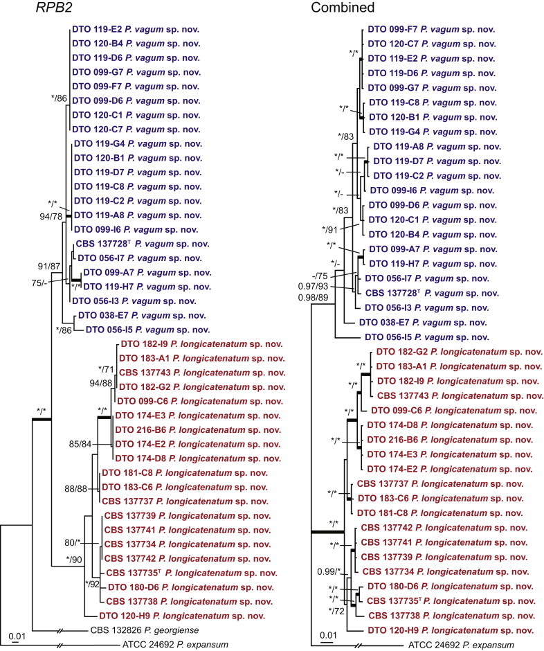 Fig. 11