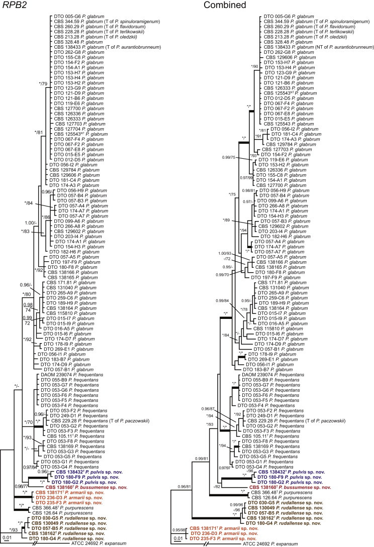 Fig. 8