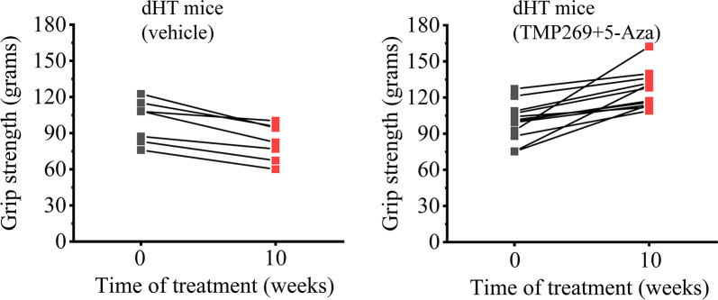 Figure 1—figure supplement 1.