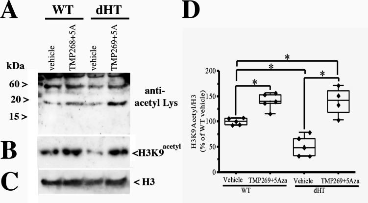 Appendix 2—figure 2.