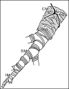 Figure 23