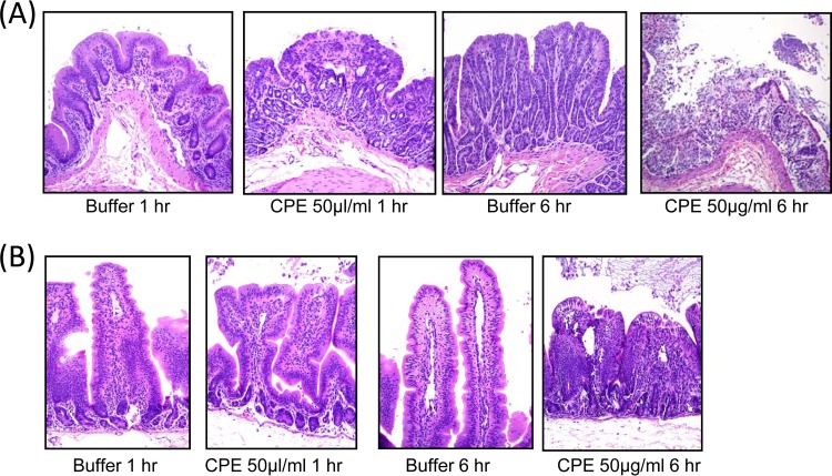 FIG 3