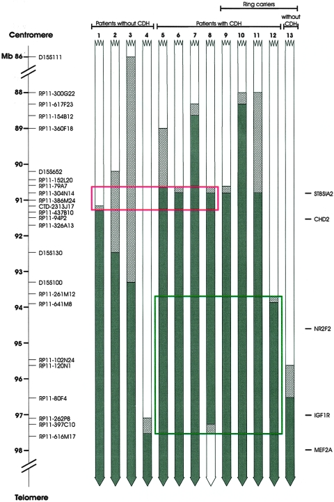 Figure  1