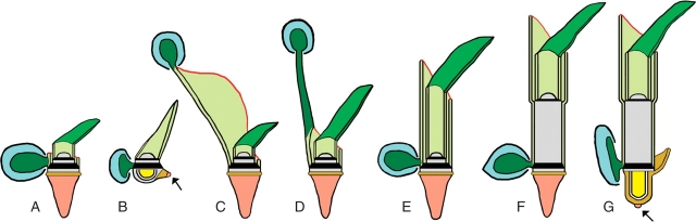 Fig. 11.