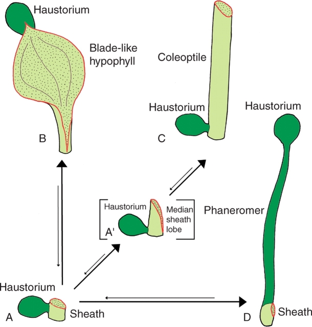 Fig. 10.