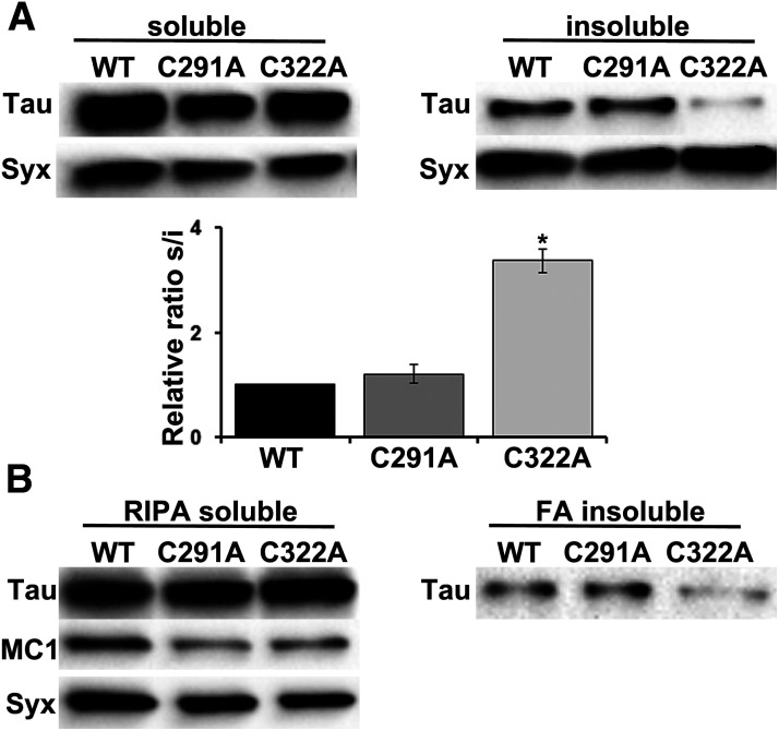 Figure 5.