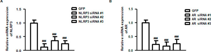 Supplementary Fig. 1