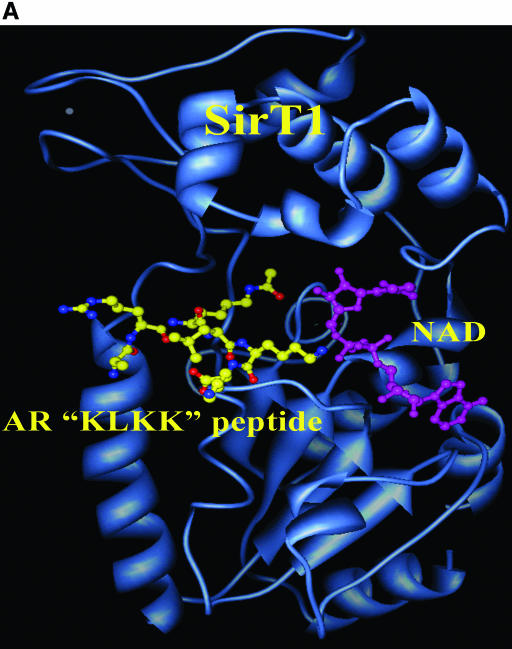 FIG. 8.