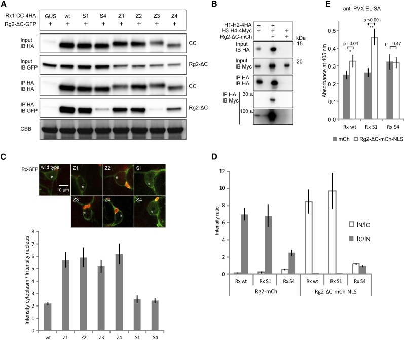 Figure 6.