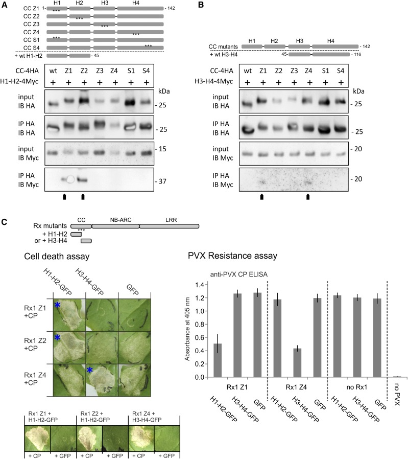 Figure 4.