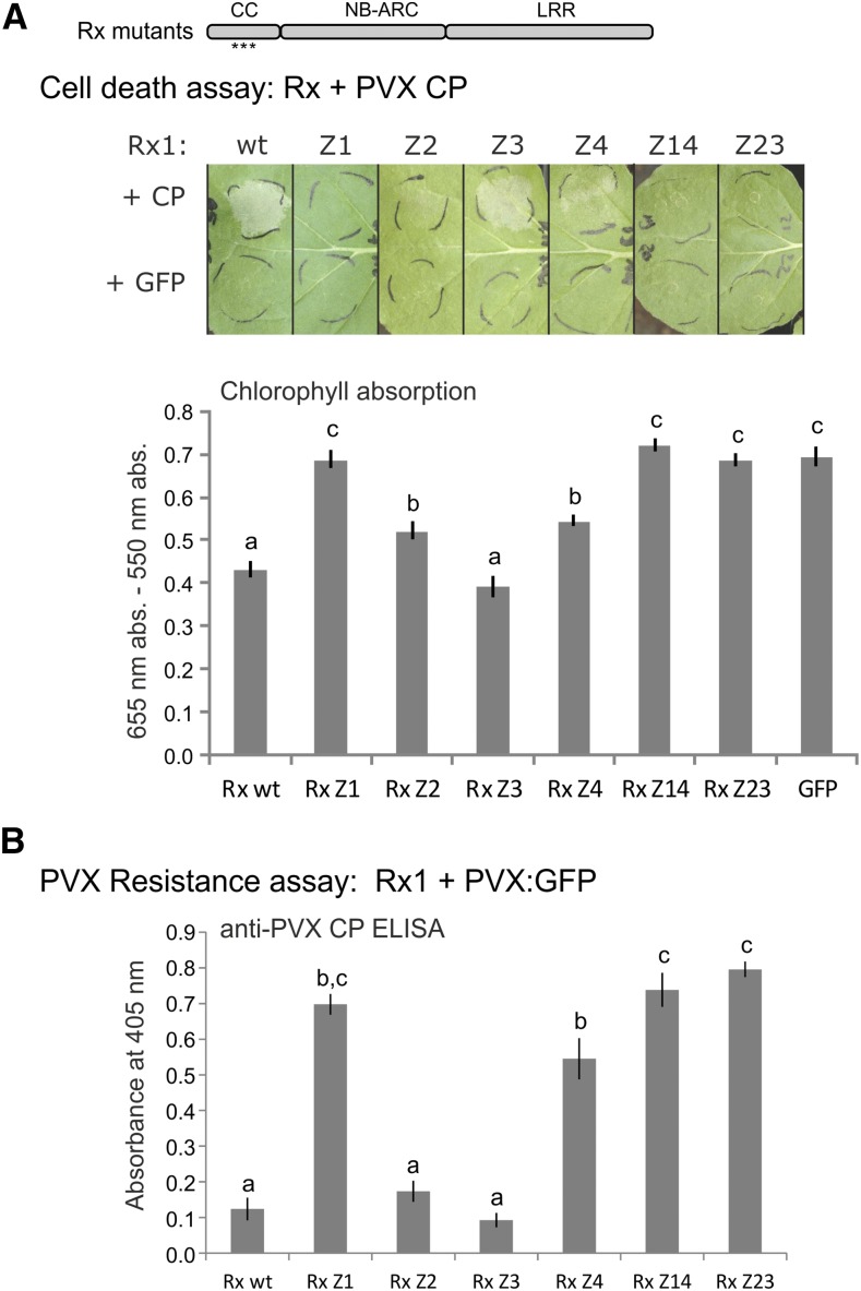 Figure 2.