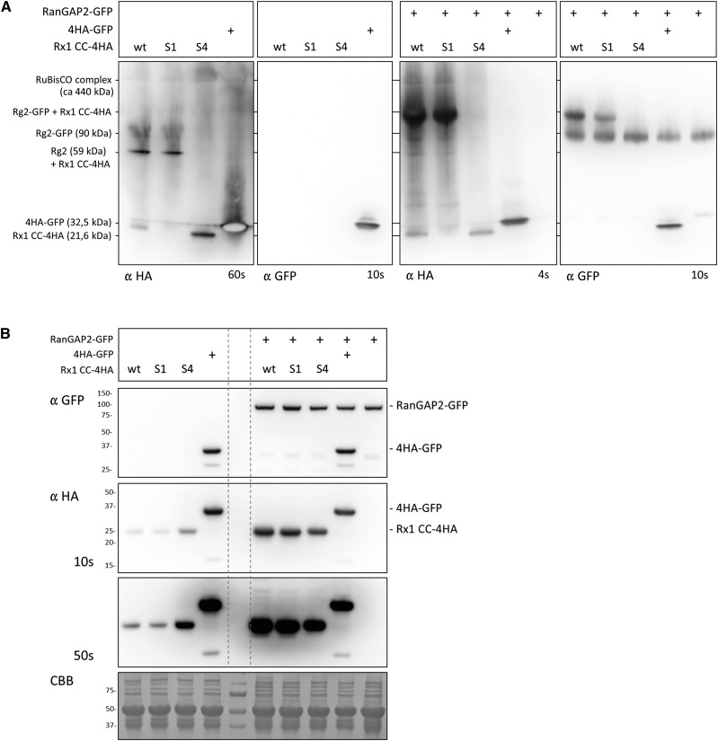 Figure 7.