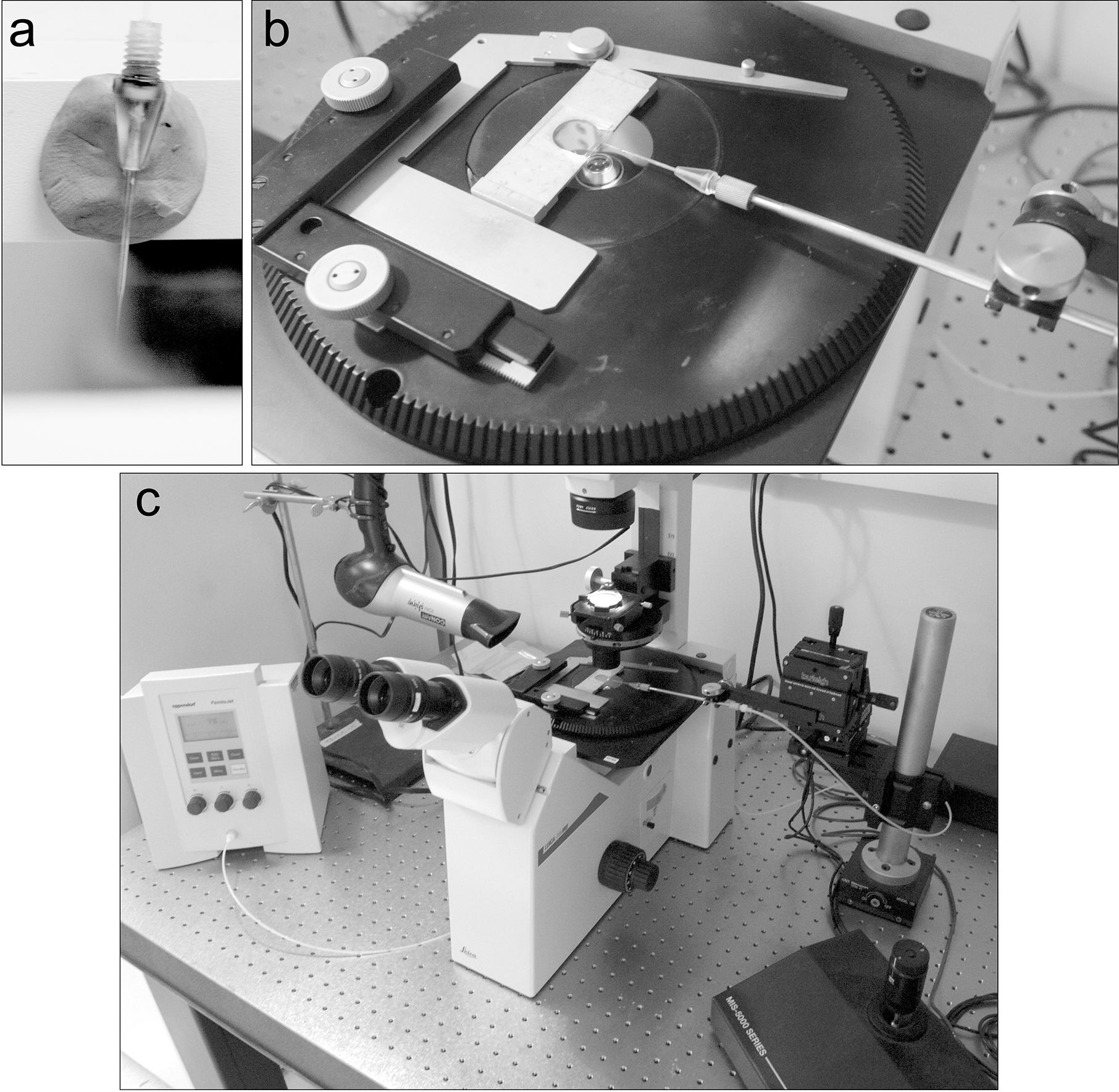 Fig. 6.