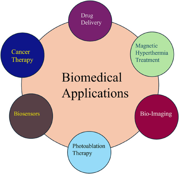 Diagram showing "Biomedical Applications" at the center, surrounded by circles labeled "Drug Delivery," "Cancer Therapy," "Biosensors," "Photoablation Therapy," "Magnetic Hyperthermia Treatment," and "Bio-Imaging." Each labeled circle connects to the central concept.