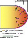 Figure 10.