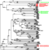 Fig. 1