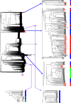 Fig. 10