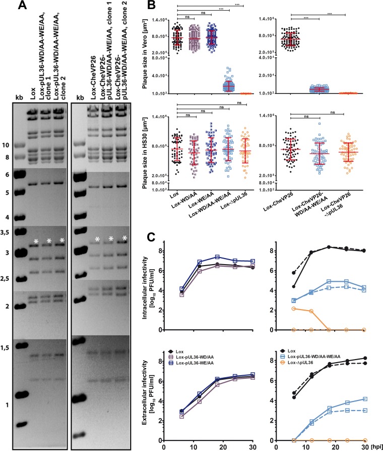 FIG 2