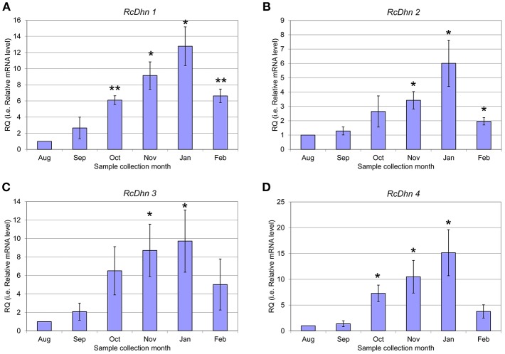 Figure 6