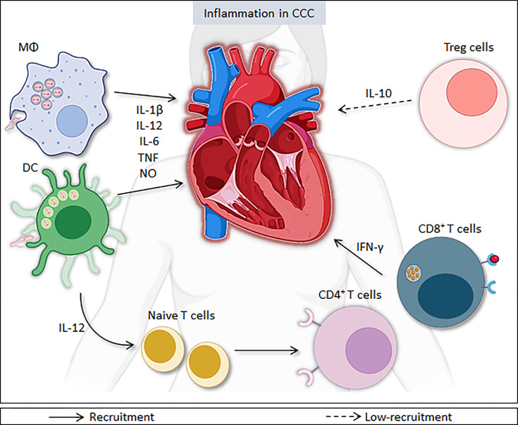 Figure 1