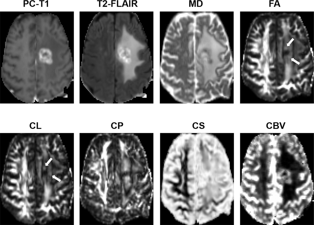 FIGURE 10: