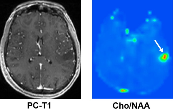 FIGURE 4: