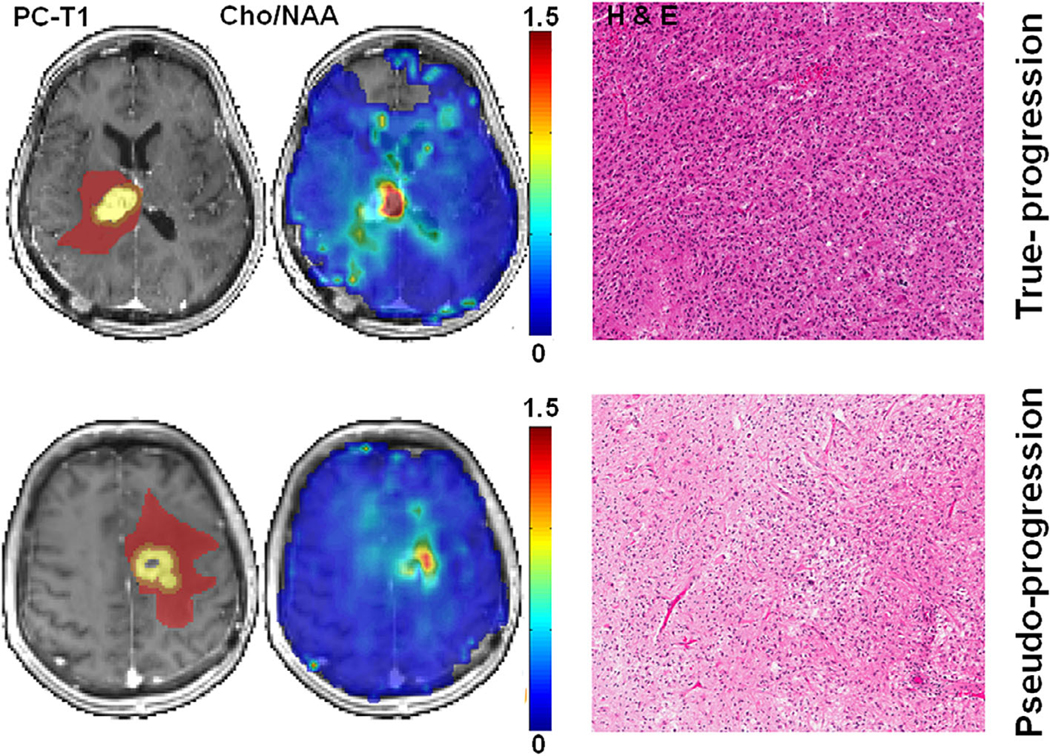 FIGURE 6: